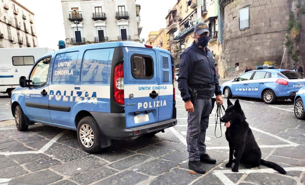 polizia cds