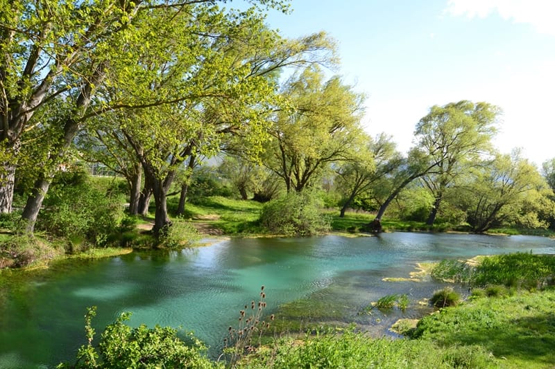 verde natura campagna