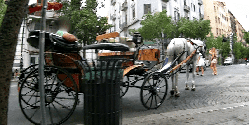 carrozza